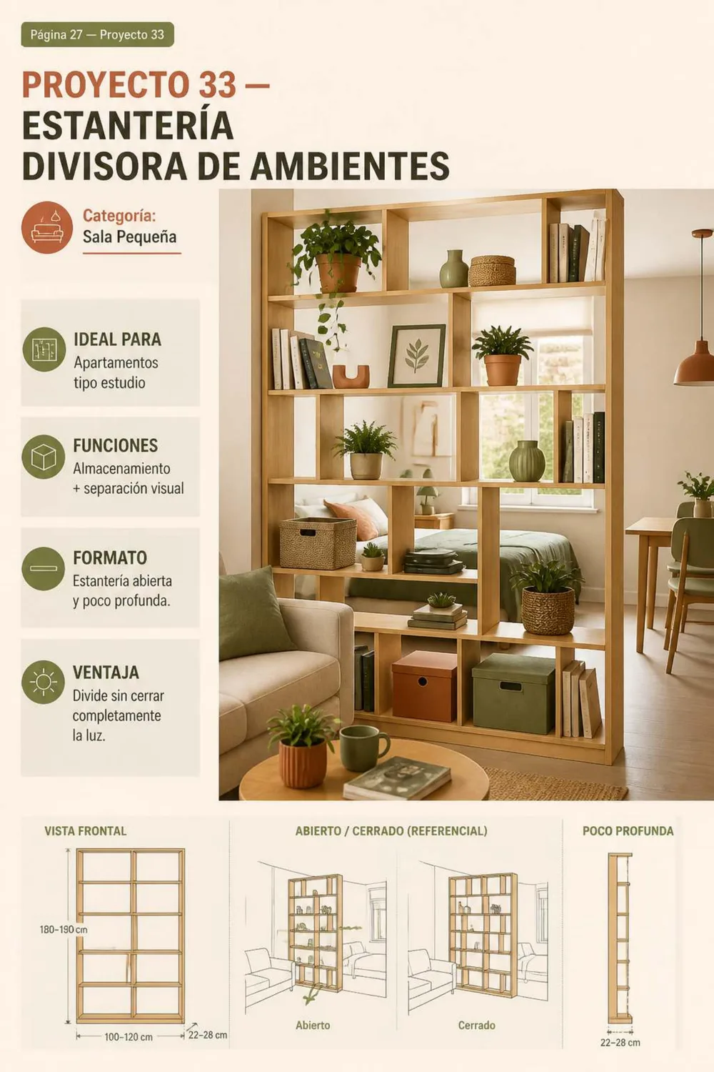 Proyecto 33 — Estantería divisora de ambientes para sala pequeña